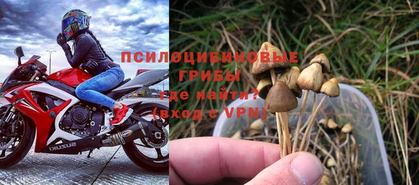 бошки Арсеньев
