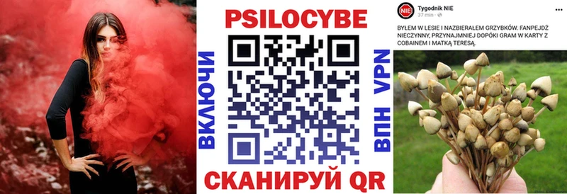 Галлюциногенные грибы Magic Shrooms  kraken   Рыбинск  наркошоп 